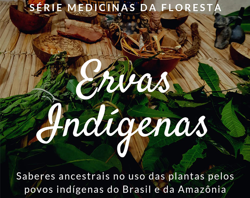 Ervas Indígenas e Medicinas da Floresta